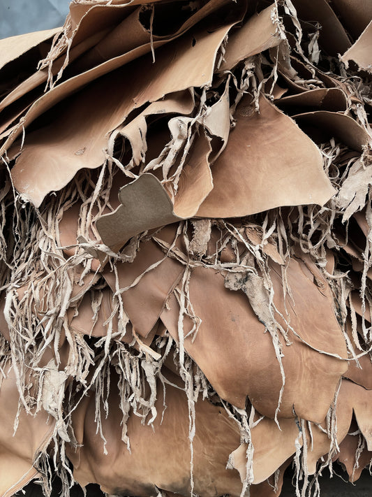 Leather tannery Tuscan 2023